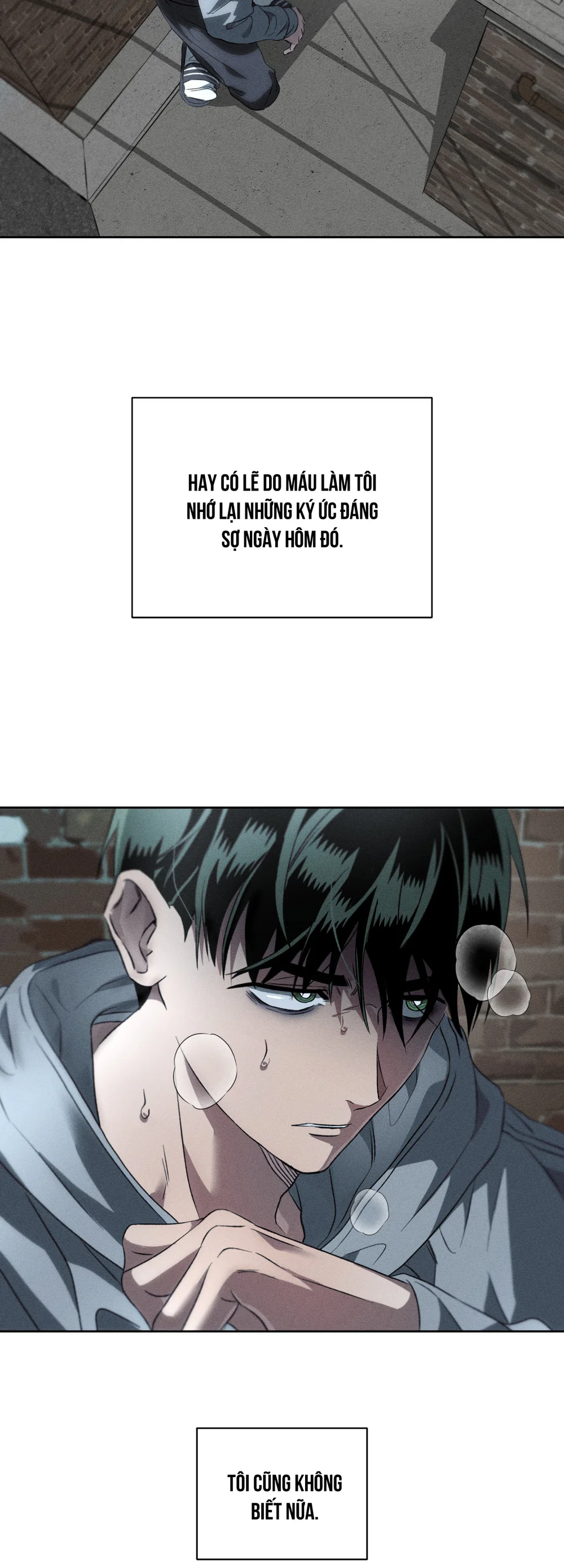 HUYNH ĐỆ TƯƠNG TÀN Chapter 5 Trang 17