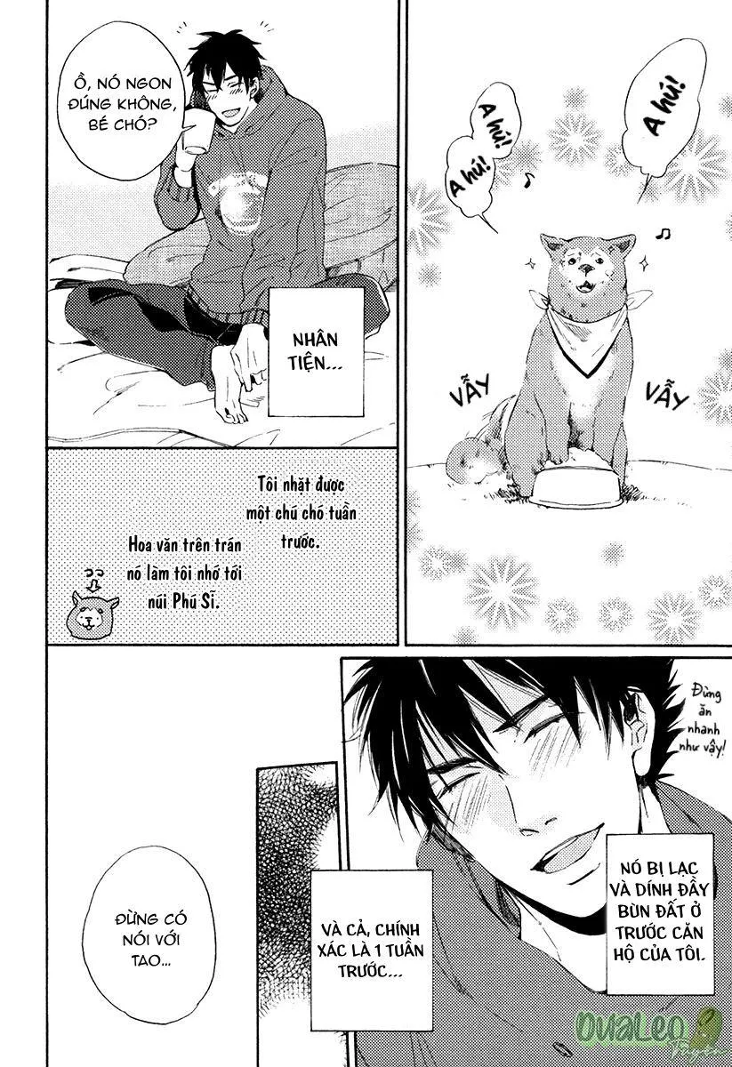 CHO TÔI HÔN EM Chapter 1 Trang 33