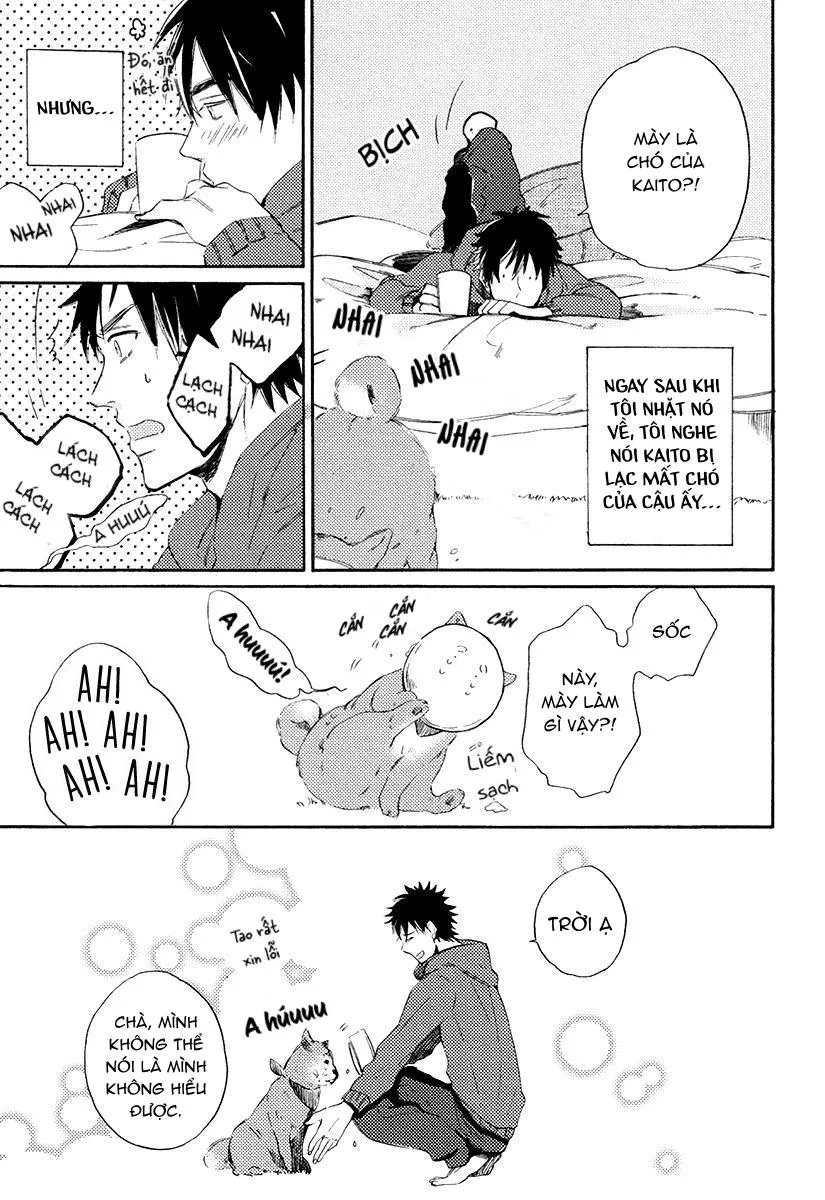 CHO TÔI HÔN EM Chapter 1 Trang 34