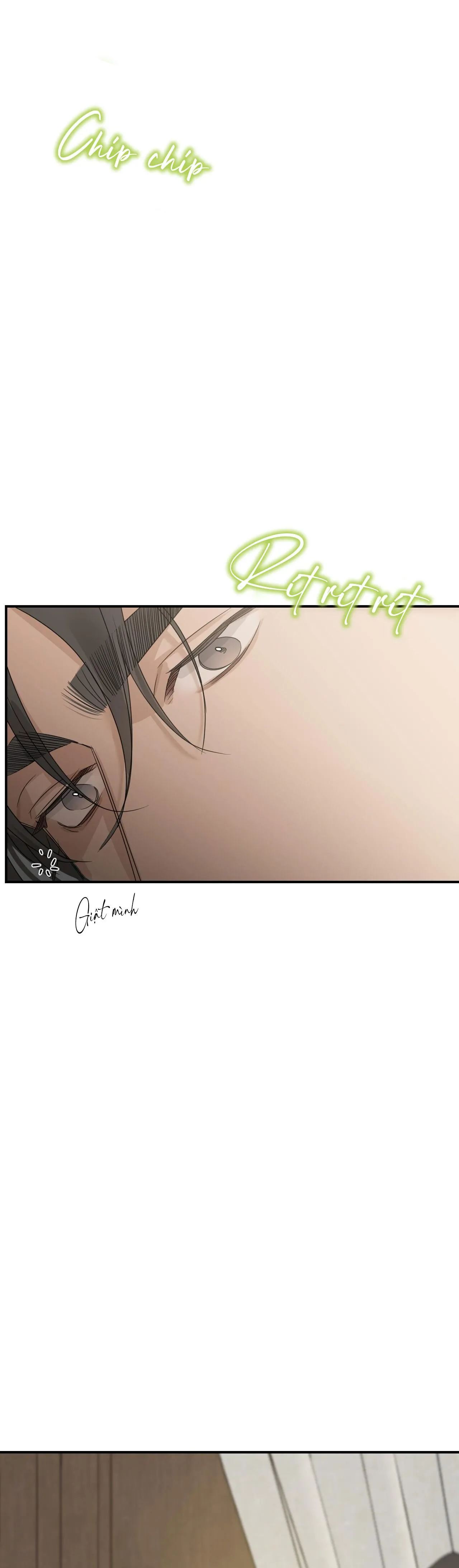 INTO THE ROSE GARDEN Chapter 53 Trang 6