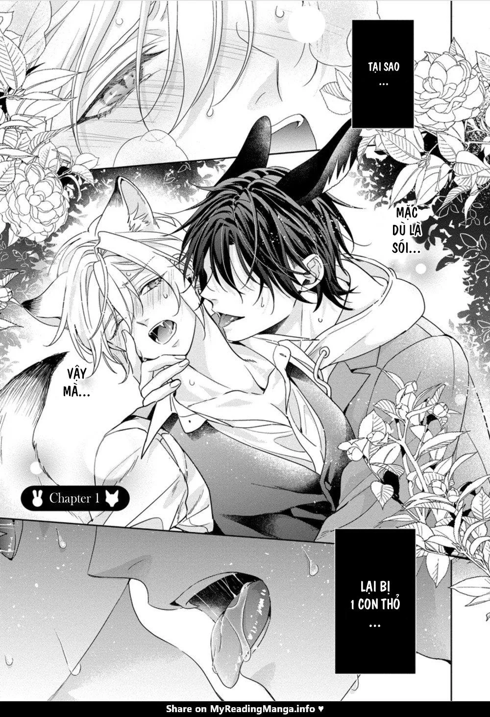 Itadakimasu, Ookami-san Chapter 1 Trang 5