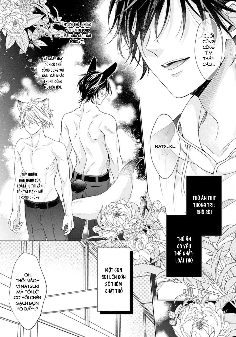 Itadakimasu, Ookami-san Chapter 1 Trang 9