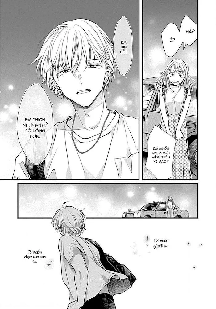 Itoshi no Kemukujara Chapter 5 Trang 19