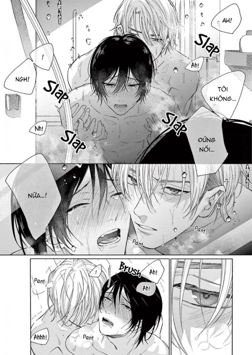 Junjou de Nani ga Warui Chapter 3 Trang 17