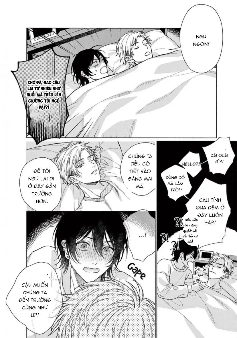 Junjou de Nani ga Warui Chapter 3 Trang 35