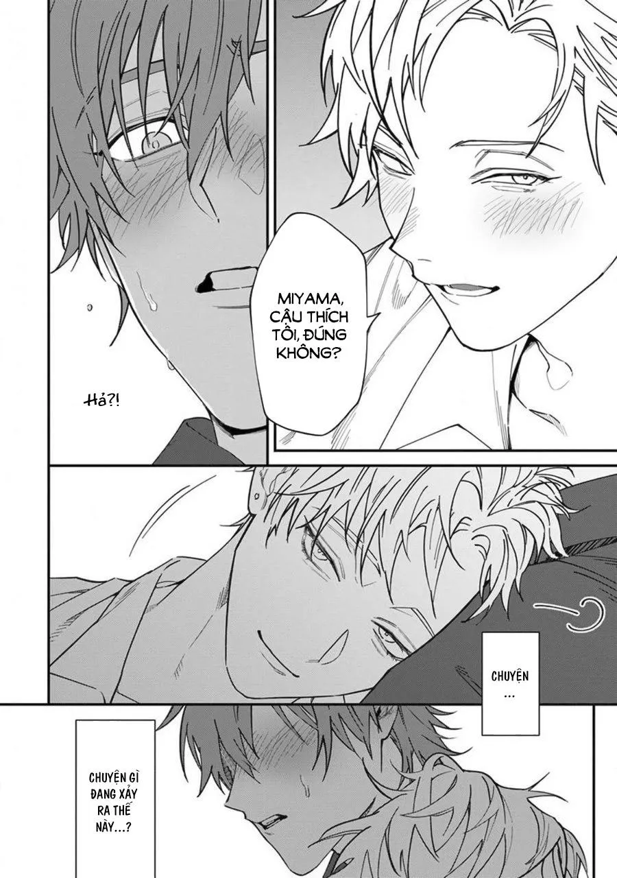 Kabukichou Bad Trip Chapter 2 Trang 14