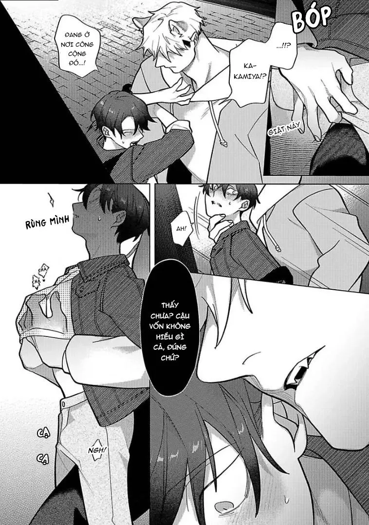 Nghiền nát tôi và dạy tôi về tình yêu Chapter 5 Trang 22