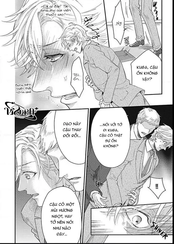 Kanraku Alpha ~Enigma~ 4 verse Chapter 3 Trang 12