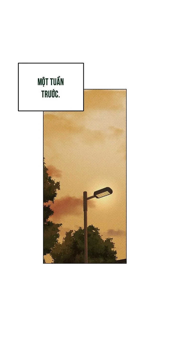 KẺ ĐÁNH CẮP TRÁI TIM Chapter 1 Trang 13
