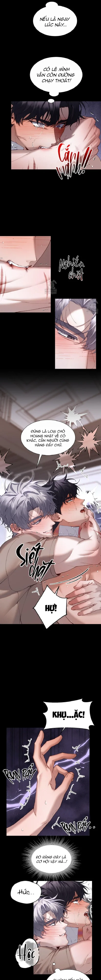 Kẻ Hành Hình Chapter 11 Trang 11