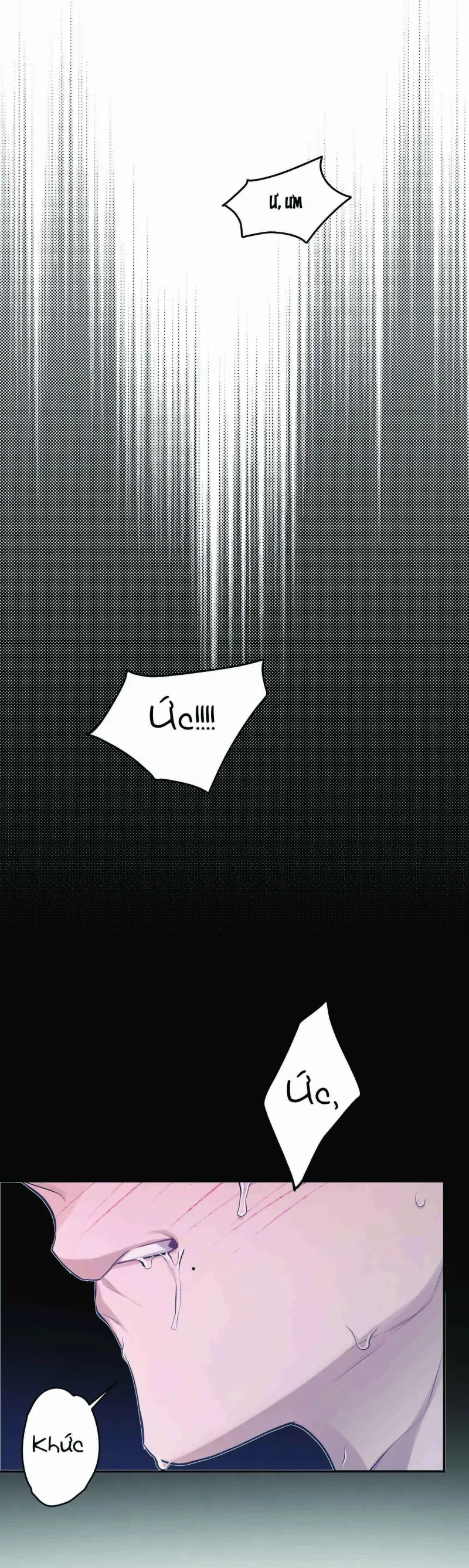 Kẻ Hành Hình Chapter 1 Trang 52