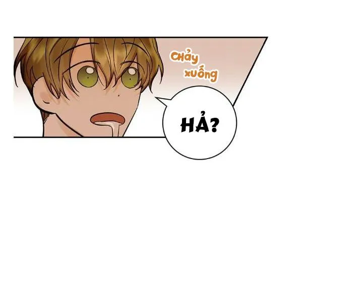 Kế hoạch đám cưới của Mr và Mr Chapter 11 Trang 18