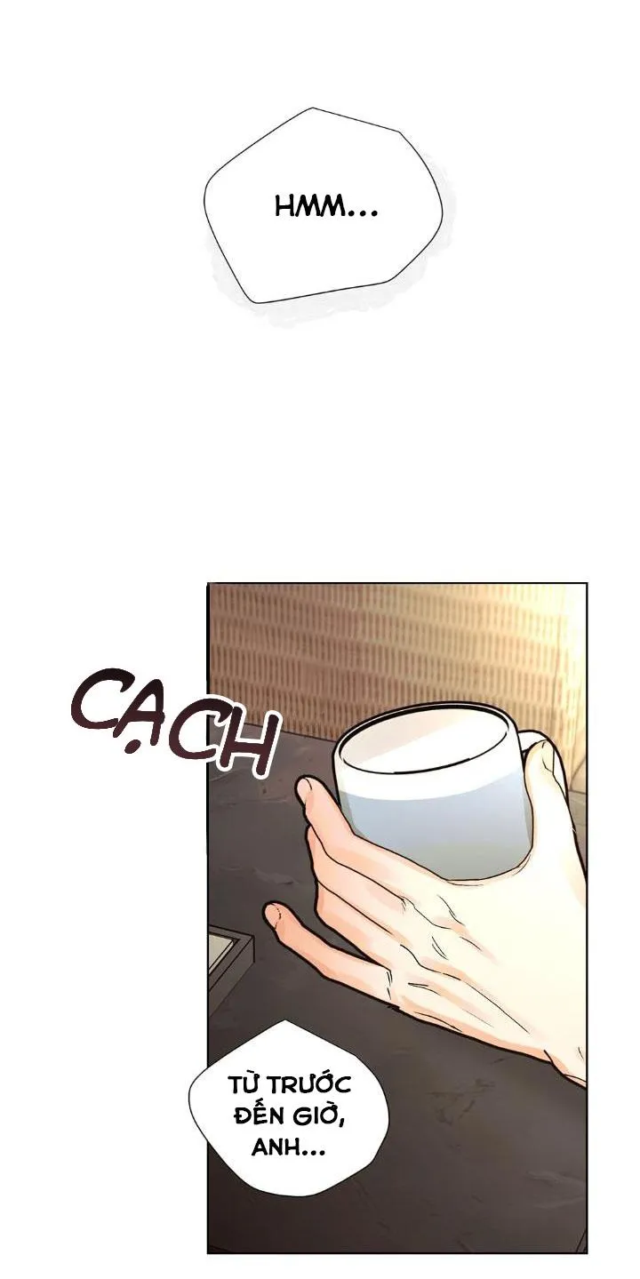 Kế hoạch đám cưới của Mr và Mr Chapter 16 Trang 8