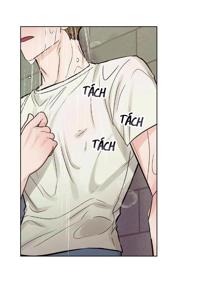 Kế hoạch đám cưới của Mr và Mr Chapter 18 Trang 11