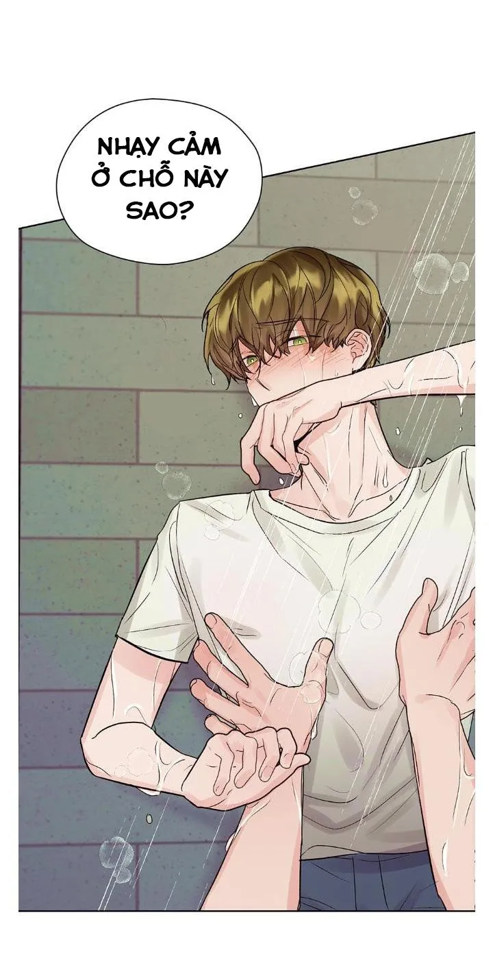 Kế hoạch đám cưới của Mr và Mr Chapter 18 Trang 17