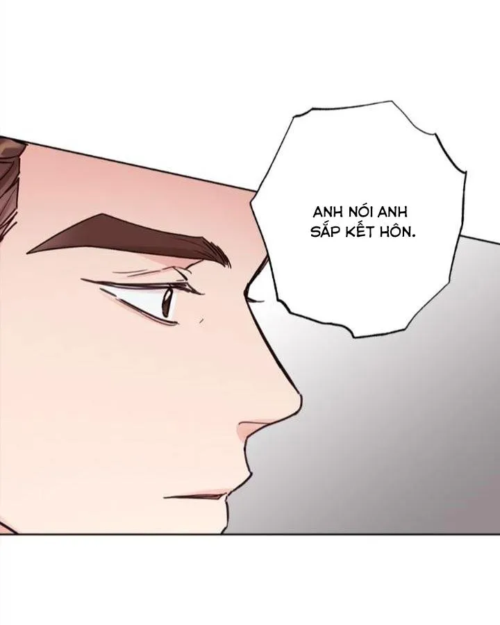 Kế hoạch đám cưới của Mr và Mr Chapter 20 Trang 37