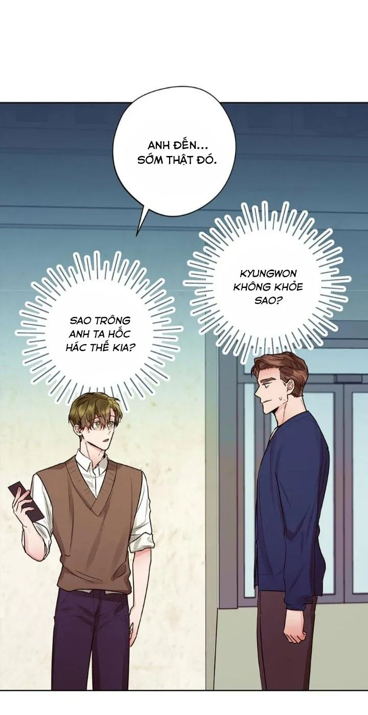 Kế hoạch đám cưới của Mr và Mr Chapter 21 Trang 5