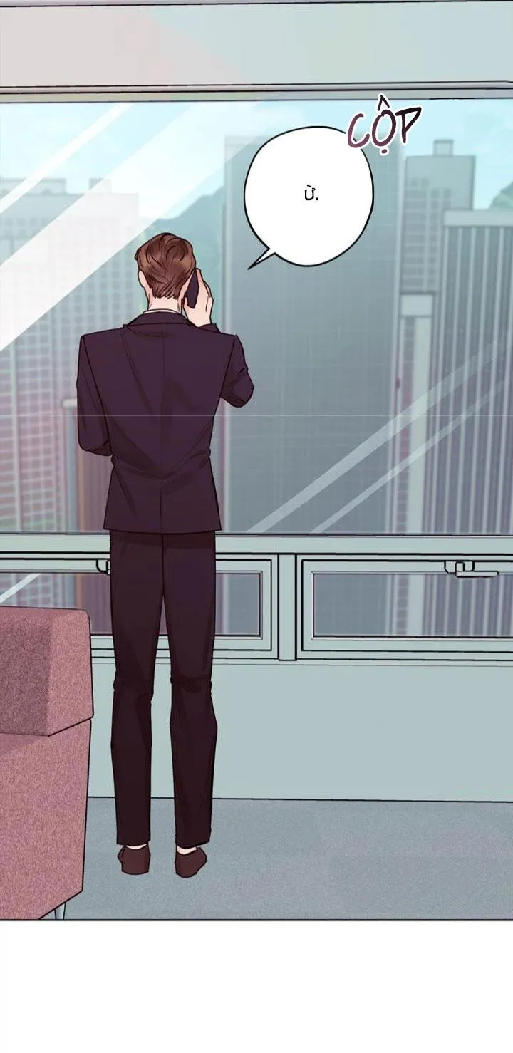 Kế hoạch đám cưới của Mr và Mr Chapter 21 Trang 49