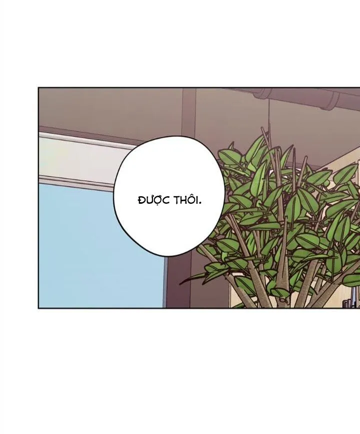 Kế hoạch đám cưới của Mr và Mr Chapter 21 Trang 50