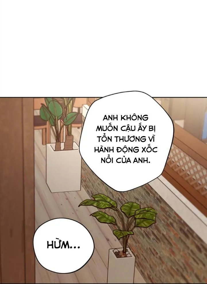 Kế hoạch đám cưới của Mr và Mr Chapter 22 Trang 23