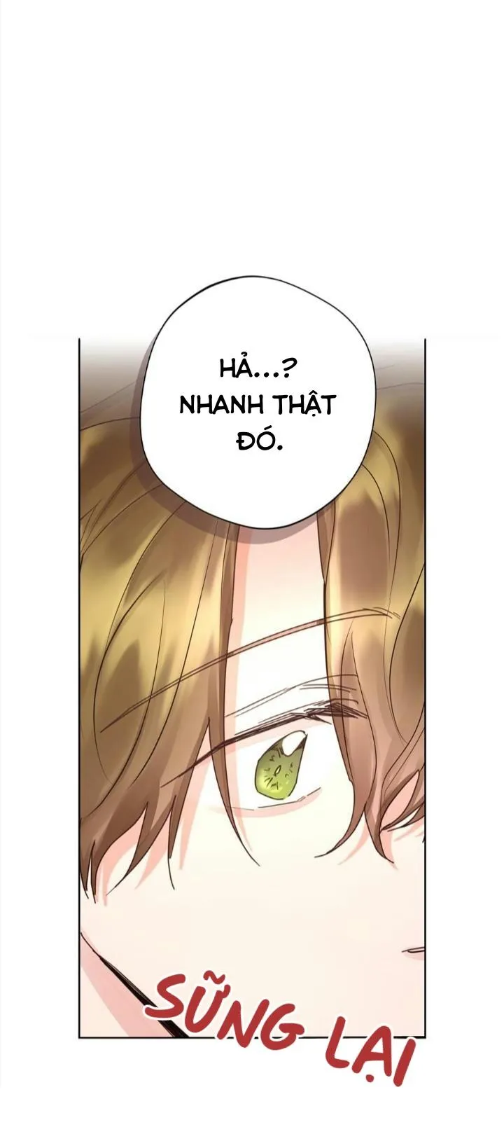 Kế hoạch đám cưới của Mr và Mr Chapter 22 Trang 63