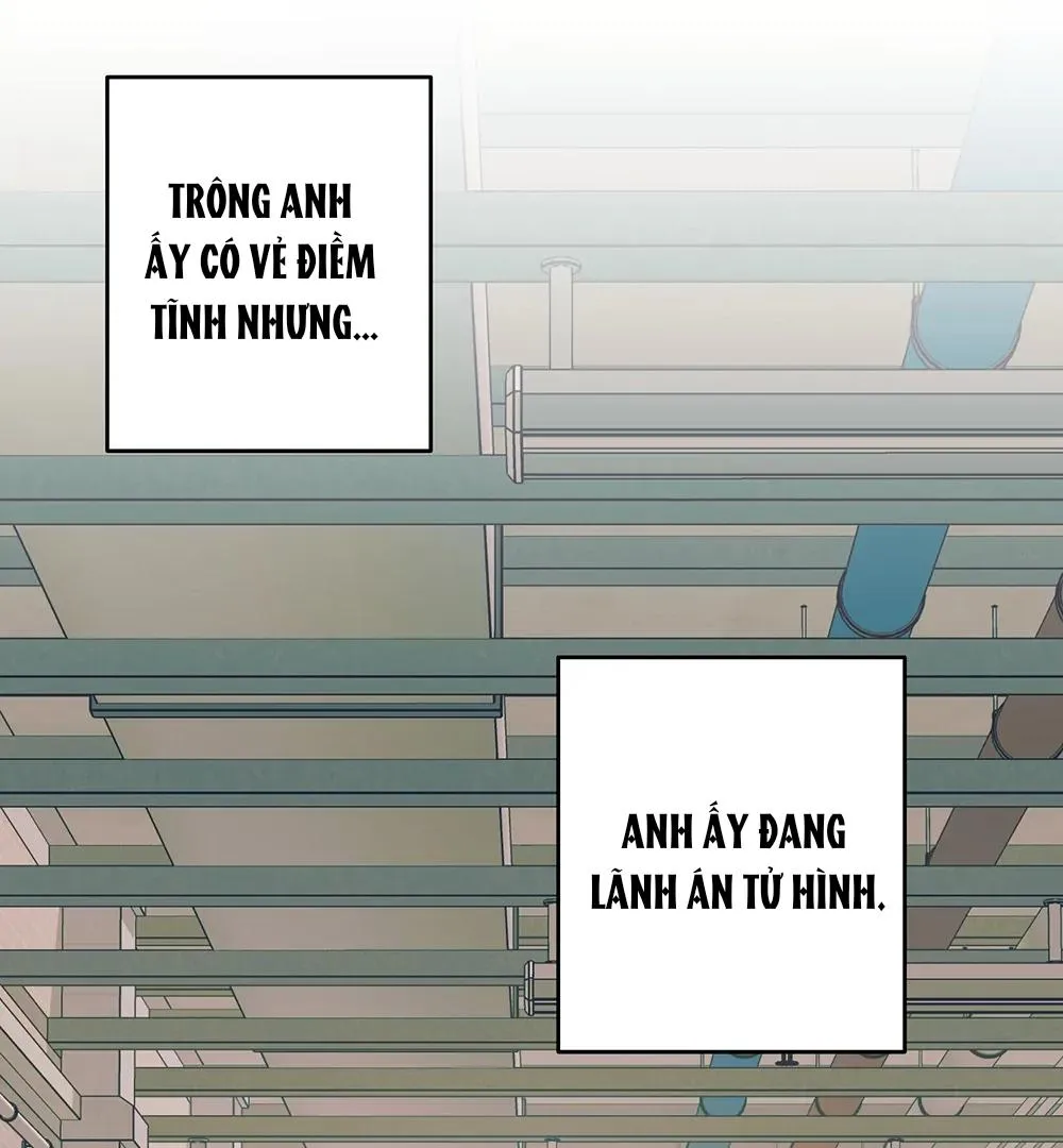 Kế Hoạch Trốn Thoát Chapter 2 Trang 34