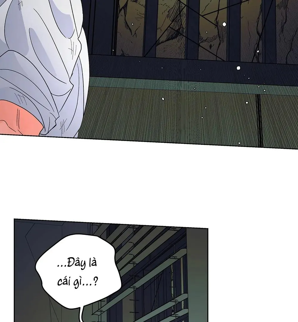 Kế Hoạch Trốn Thoát Chapter 3 Trang 31