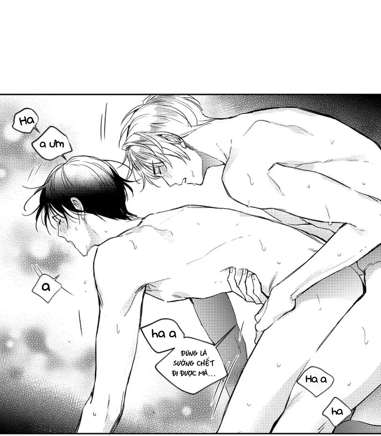 Kẻ lừa đảo ngọt ngào Chapter 1 Trang 4