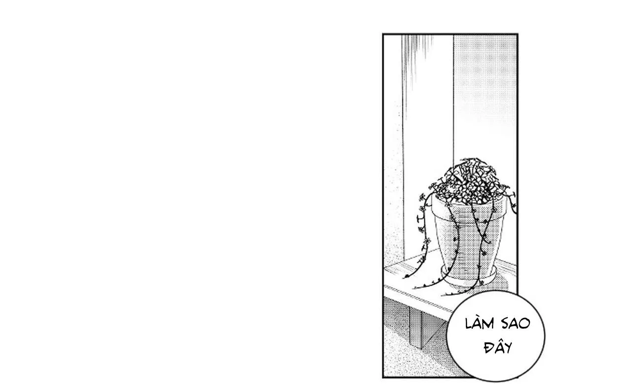 Kẻ lừa đảo ngọt ngào Chapter 1 Trang 54