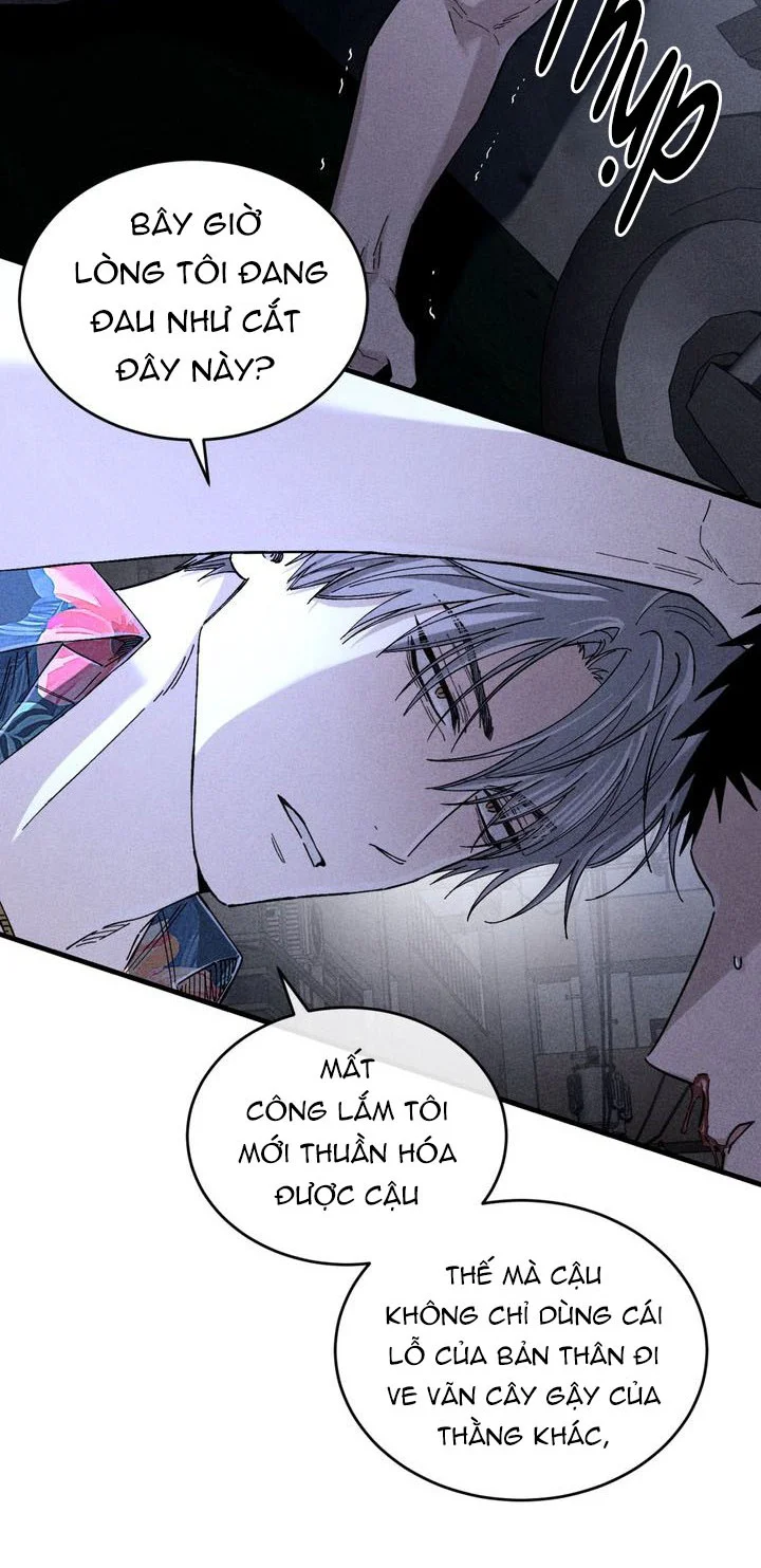 KẺ SAY MÊ THÂN XÁC Chapter 12 Trang 11