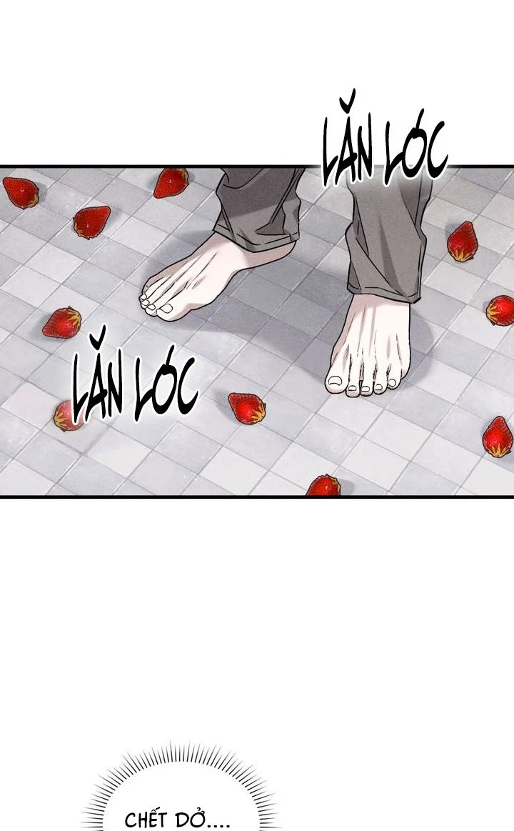 KẺ SAY MÊ THÂN XÁC Chapter 13 Trang 14