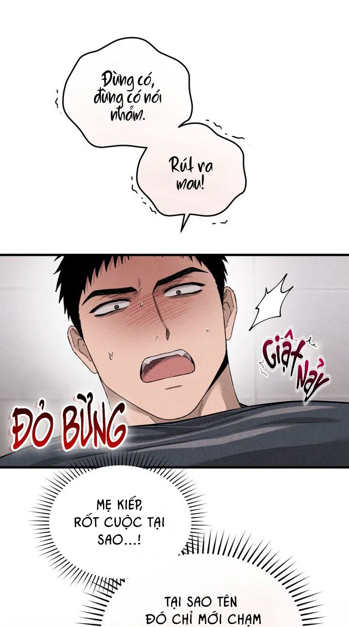 KẺ SAY MÊ THÂN XÁC Chapter 13 Trang 27