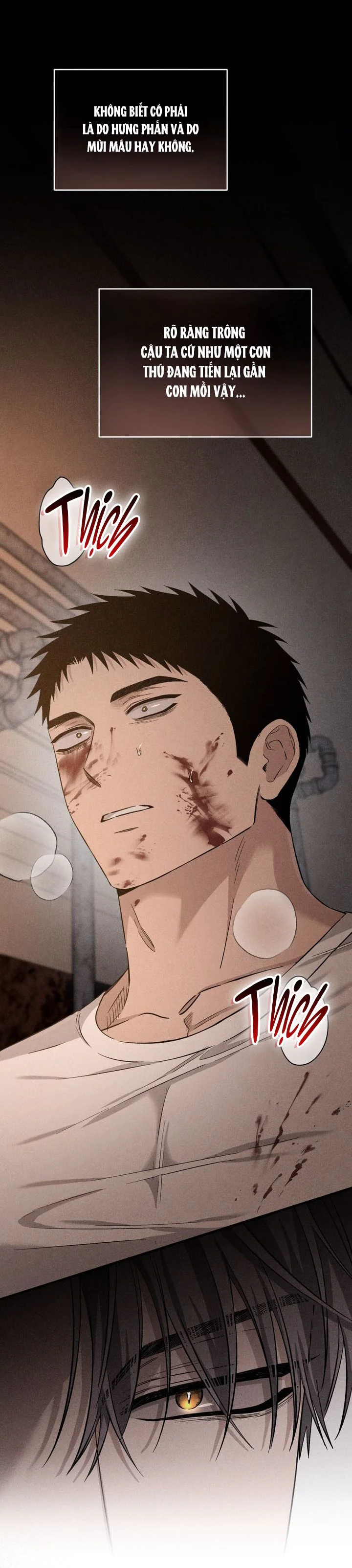 KẺ SAY MÊ THÂN XÁC Chapter 14 Trang 62