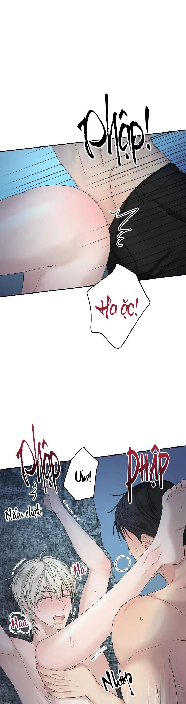 KẺ SƯU TẬP Chapter 4 Trang 7