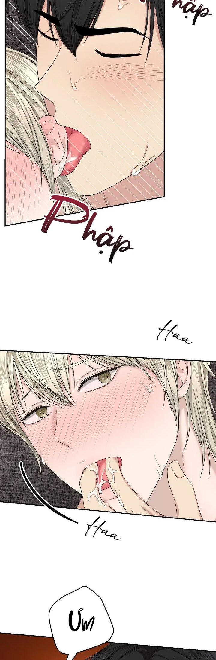 KẺ SƯU TẬP Chapter 8 Trang 4