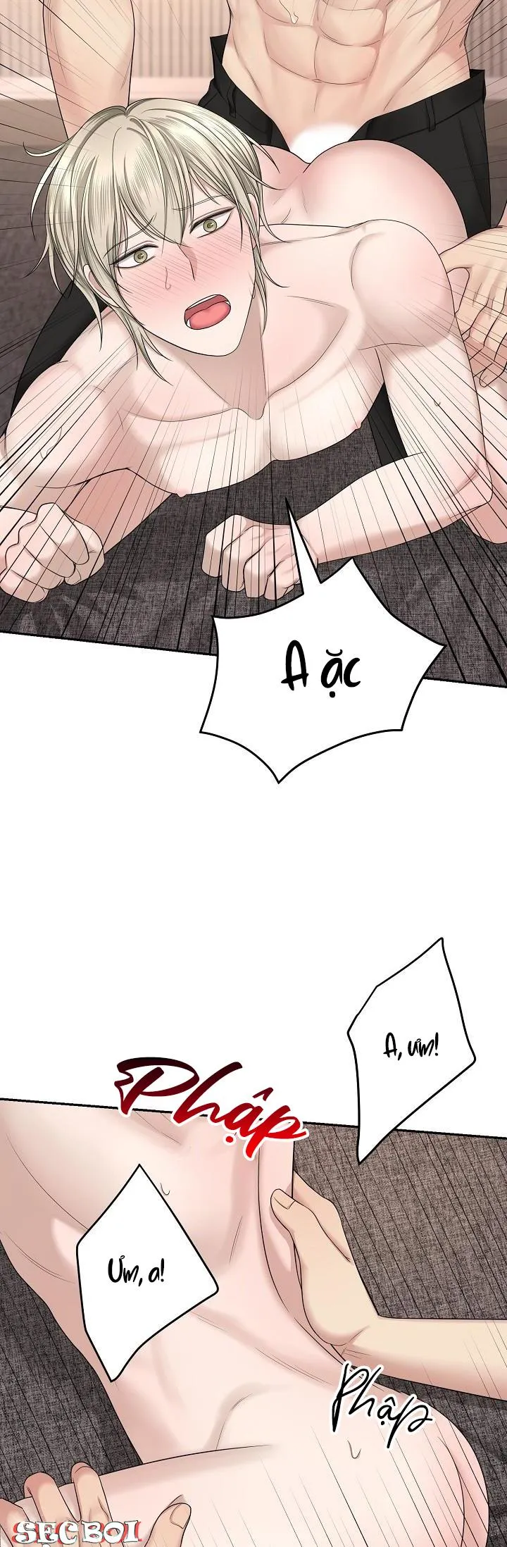 KẺ SƯU TẬP Chapter 8 Trang 33