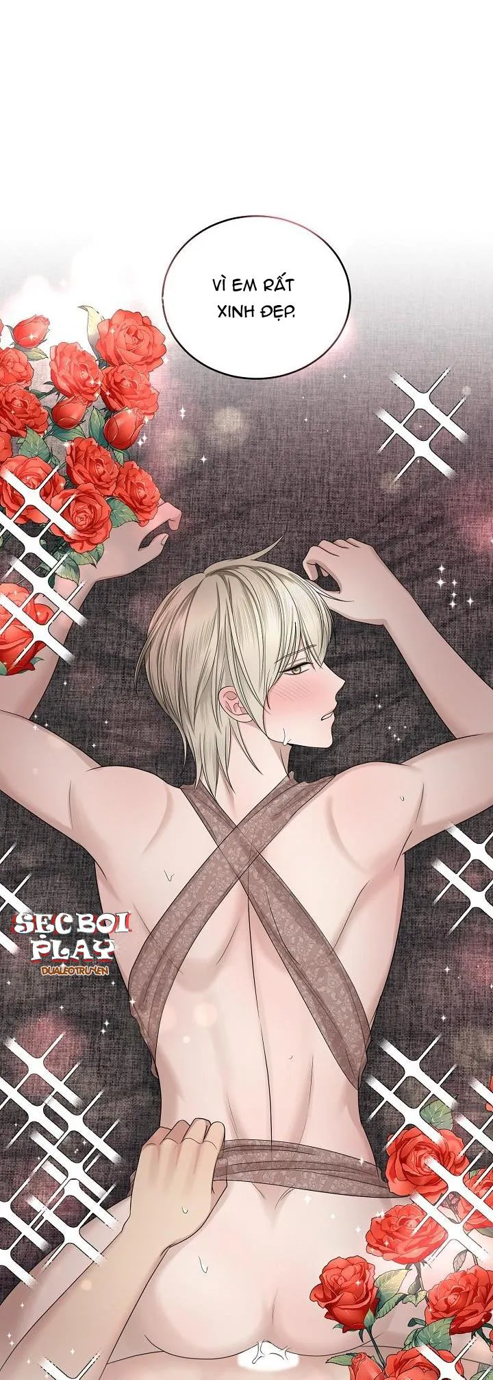 KẺ SƯU TẬP Chapter 10 Trang 39