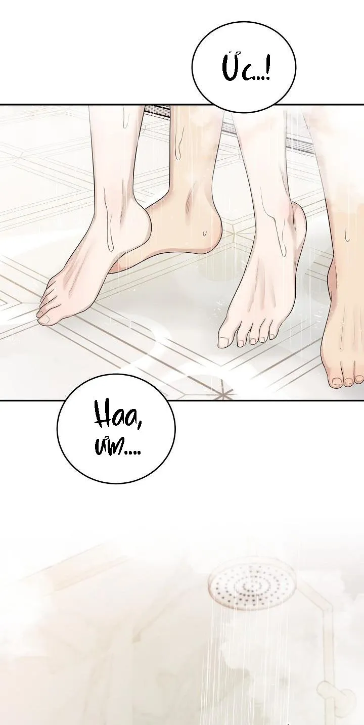 KẺ SƯU TẬP Chapter 12 Trang 41