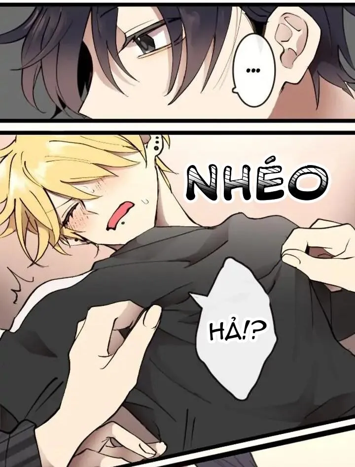 Kẻ Theo Dõi Biến Thái Của Tôi Chapter 12 Trang 5