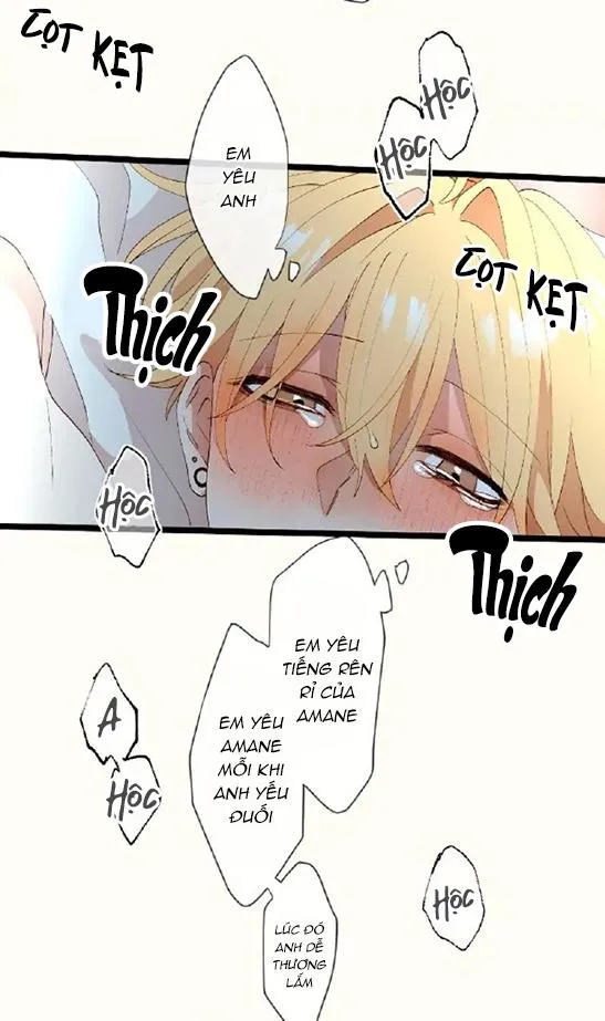 Kẻ Theo Dõi Biến Thái Của Tôi Chapter 69 Trang 17