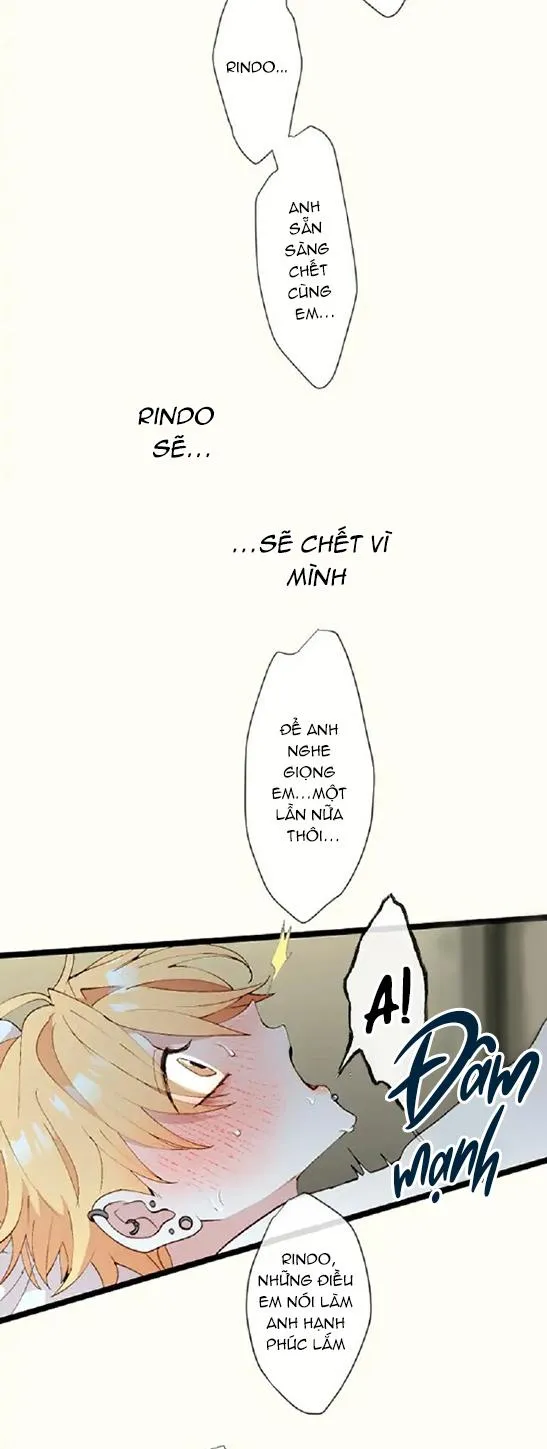 Kẻ Theo Dõi Biến Thái Của Tôi Chapter 69 Trang 19