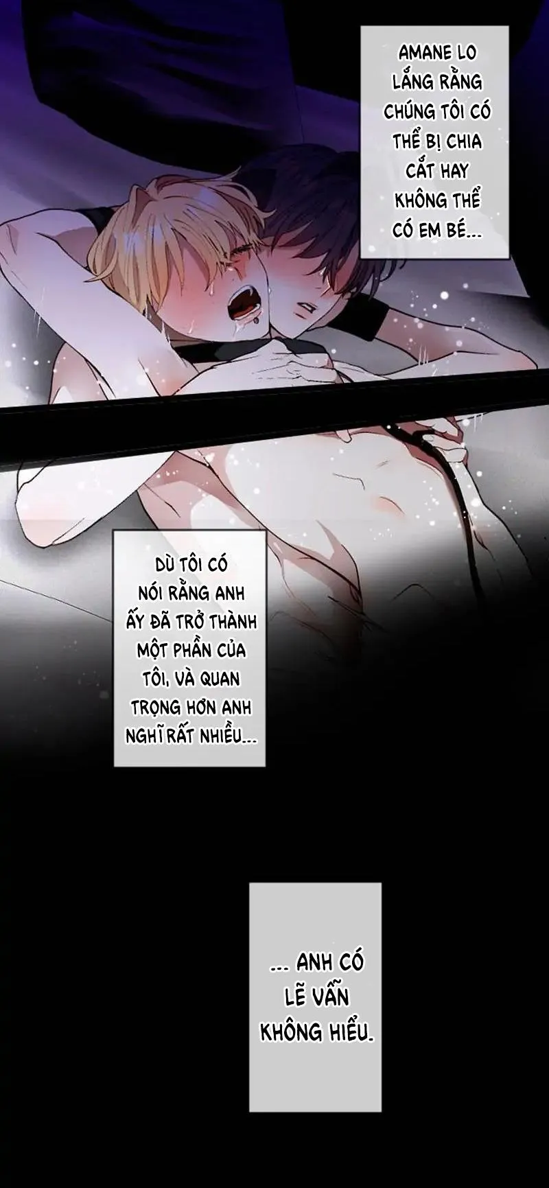 Kẻ Theo Dõi Biến Thái Của Tôi Chapter 97 Trang 24