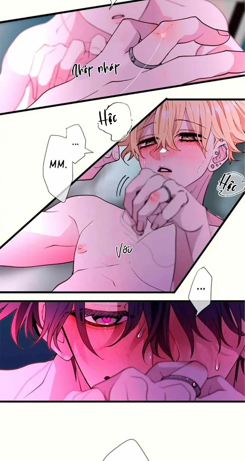 Kẻ Theo Dõi Biến Thái Của Tôi Chapter 109 Trang 11