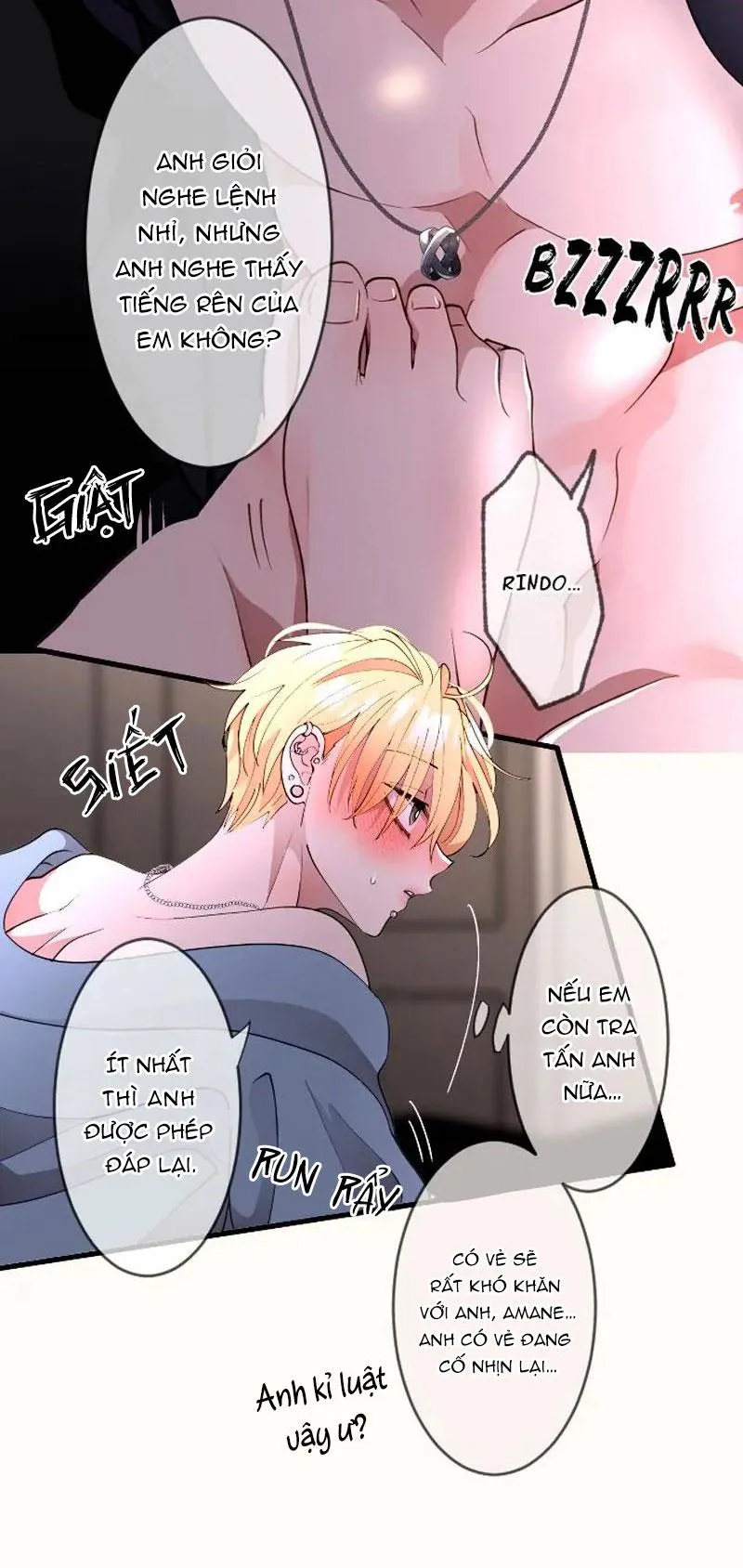 Kẻ Theo Dõi Biến Thái Của Tôi Chapter 126 Trang 14