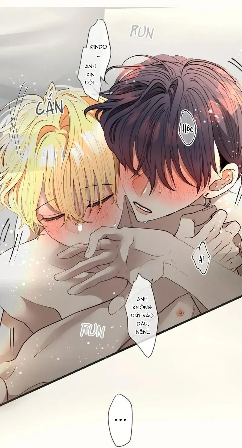 Kẻ Theo Dõi Biến Thái Của Tôi Chapter 127 Trang 14