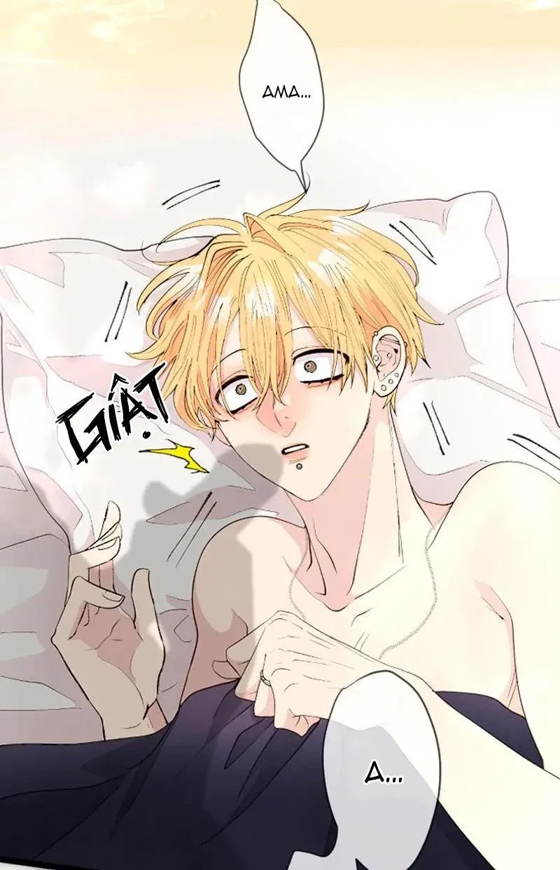 Kẻ Theo Dõi Biến Thái Của Tôi Chapter 127 Trang 27