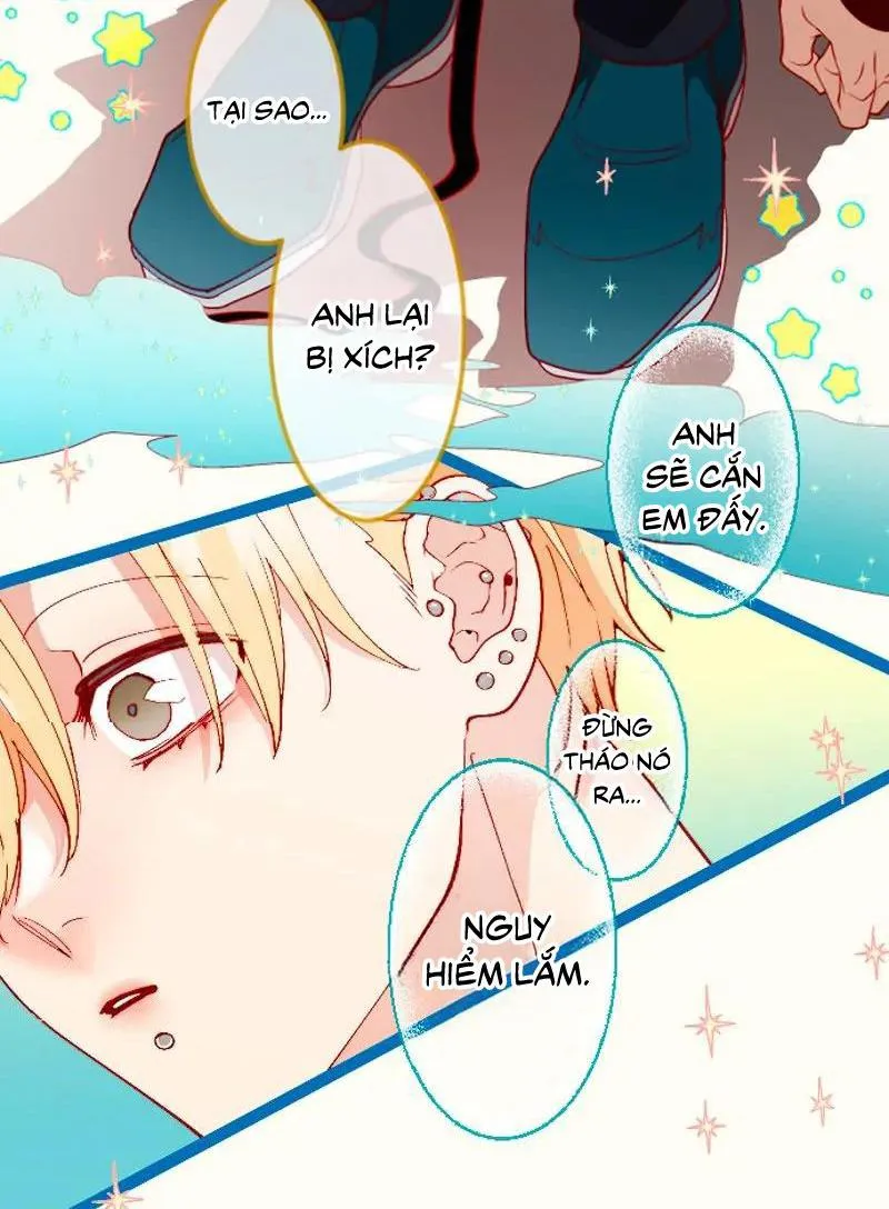 Kẻ Theo Dõi Biến Thái Của Tôi Chapter 135 Trang 11