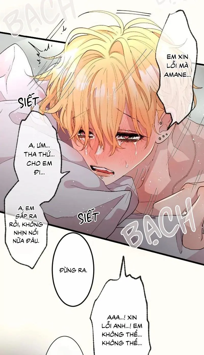 Kẻ Theo Dõi Biến Thái Của Tôi Chapter 135 Trang 22