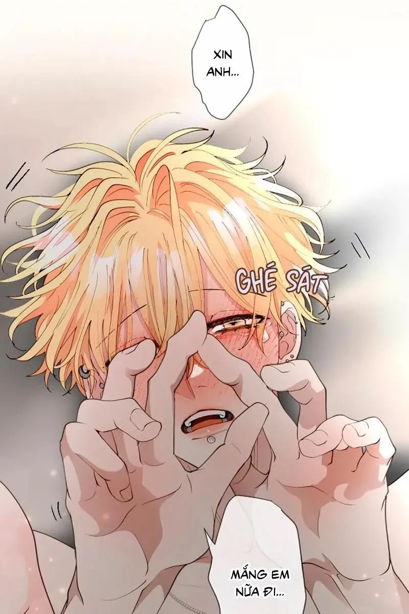 Kẻ Theo Dõi Biến Thái Của Tôi Chapter 135 Trang 36