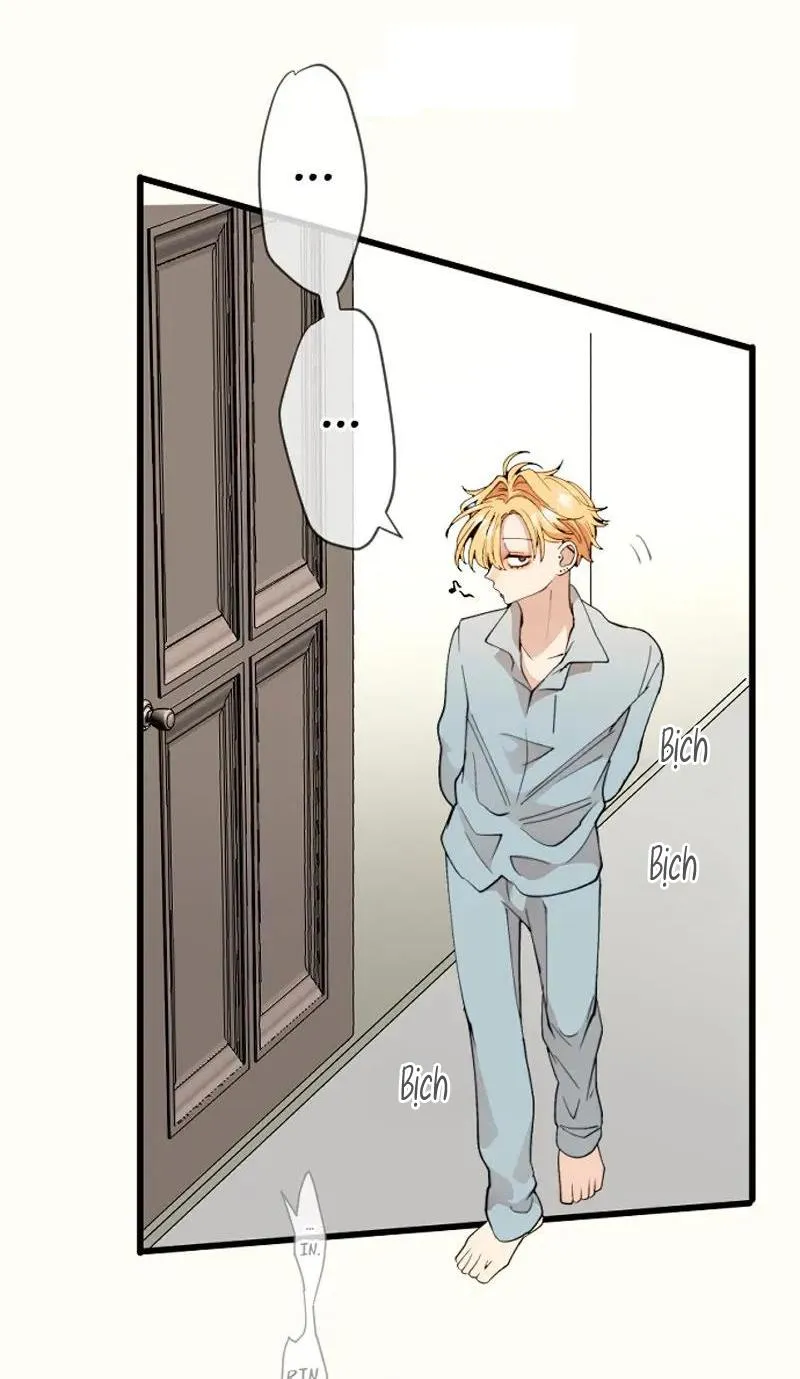 Kẻ Theo Dõi Biến Thái Của Tôi Chapter 137 Trang 5